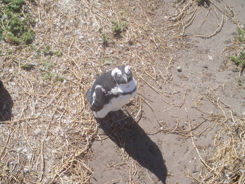 KeHa_in_South_Africa - 171